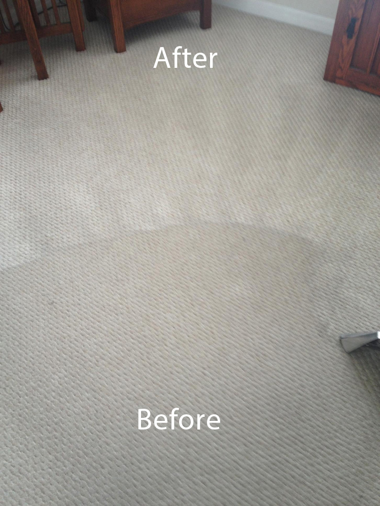 Carpet Cleaners Newark  Wall-To-Wall-Carpet-Cleaning-Newark ...