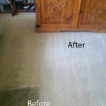 Bedroom-Carpet-Cleaning-Newark