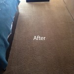 Bedroom-Carpet-Cleaning-Newark-B