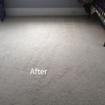 Bedroom-Wall-to-Wall-Carpet-Cleaning-Newark-B