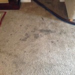 Dirty-Carpet-Newark-CA