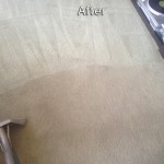 Newark-Carpet-Cleaning-Company