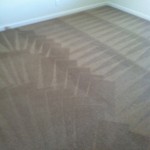 Newark-Carpet-Cleaning-Wall-To-Wall