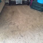 Newark-Dirty-Carpet