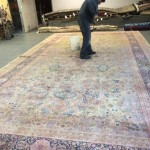 Newark-Professional-Rug-Cleaning