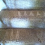 Newark-Stairs-Carpet-Cleaning